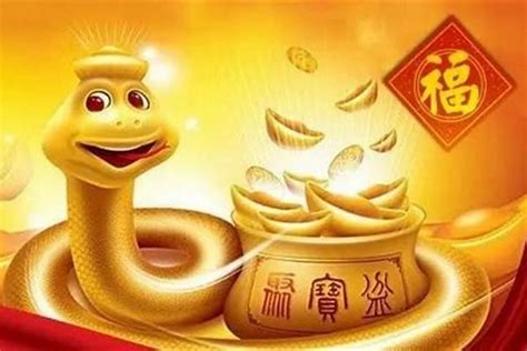 蛇年出生|属蛇的生肖是什么年份 蛇年是哪一年有哪些